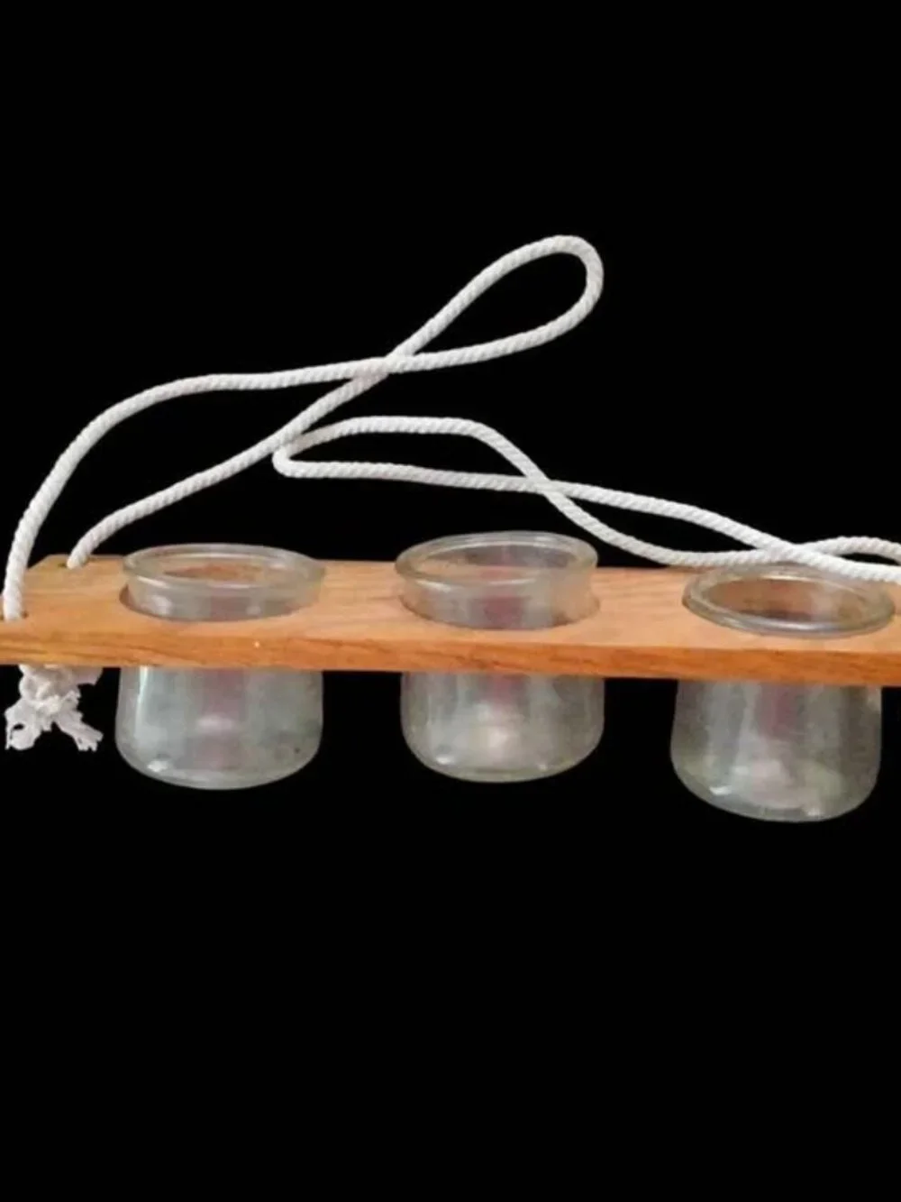 Hanging Wooden Propagation Station with 3 Glass Jars